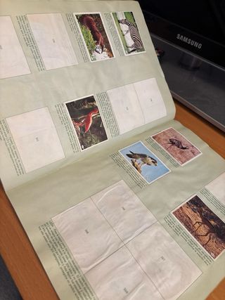 Álbum Cromos Al Lado de los Animales TI
