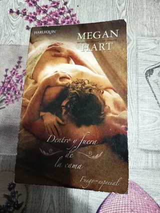 Novela Dentro y fuera de la cama