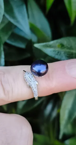 Anillo Plata Ley Perla Negra Diseño Delfín