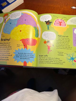 First Body Book-Set off on a Head-to-Toe Advent...