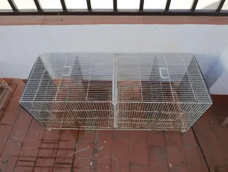 Jaula para pájaros grande