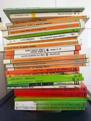 Lote de libros juveniles en buen estado.