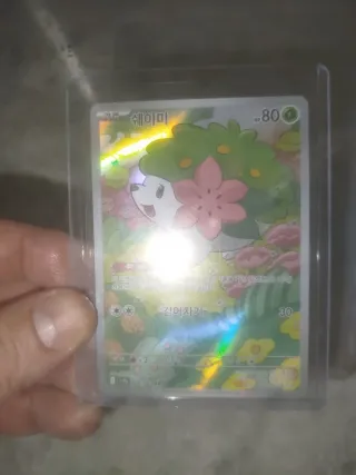 Carta Pokémon Shaymin SV9a Coreano