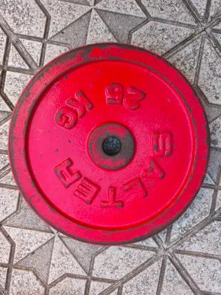 Banco de pesas con discos 20 y 25 kg