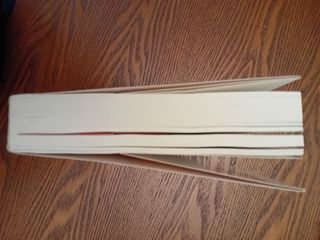 Desgarrados y excéntricos (Spanish Edition)