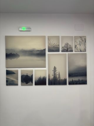 Juego de 9 cuadros decorativos