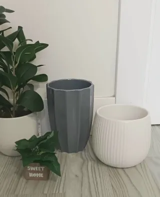 Lote plantas y macetas