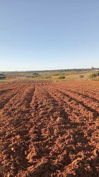 Terreno agrícola en Bollullos del condado