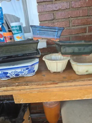 Lote 6 macetas bonsai