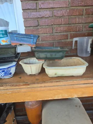 Lote 6 macetas bonsai