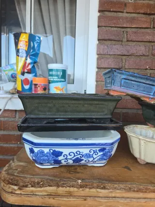 Lote 6 macetas bonsai