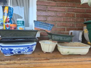 Lote 6 macetas bonsai