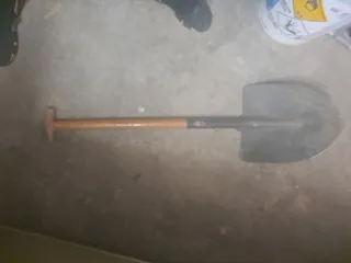 Pala de punta bellota