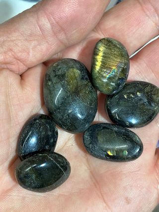 Lote de minerales y fósiles