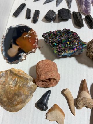 Lote de minerales y fósiles