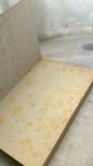 *La santa Cruz de Caravaca (Tesoro de oraciones)