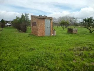 Terreno agrícola en Bollullos del condado