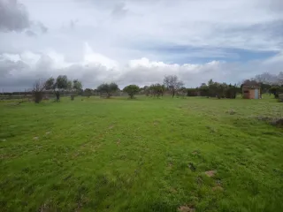 Terreno agrícola en Bollullos del condado