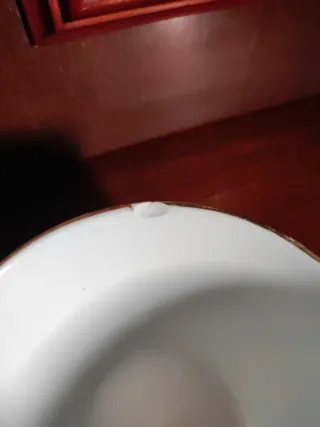 Juego de café vintage Pontesa