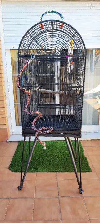 Jaula para pájaros negra con accesorios