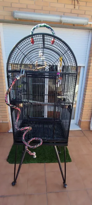 Jaula para pájaros negra con accesorios