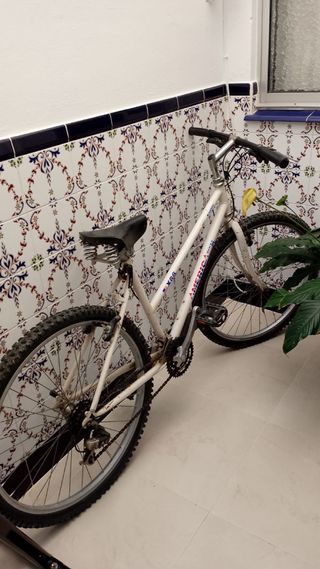 Bicicleta de montaña blanca