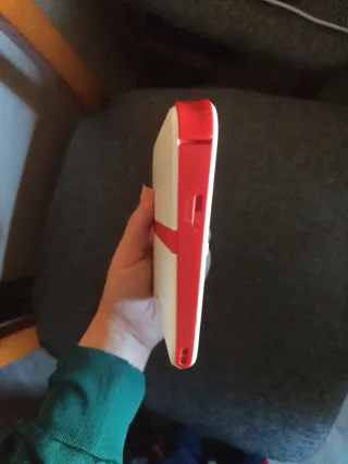 Nintendo 2DS con funda y cargador