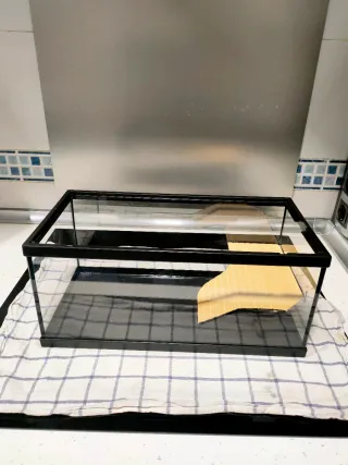 Acuario o pecera para tortugas