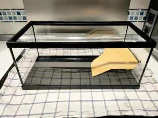 Acuario o pecera para tortugas