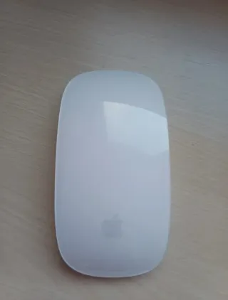 Teclado y Ratón Apple Plata/Blanco