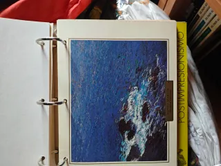 Colección Fichas Obras de Arte Impresionistas