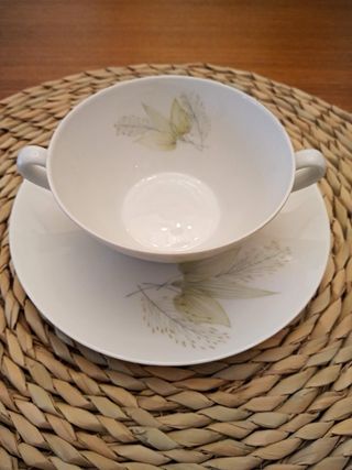 Vajilla Bidasoa Porcelana Vintage 12 Personas