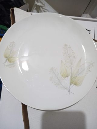 Vajilla Bidasoa Porcelana Vintage 12 Personas