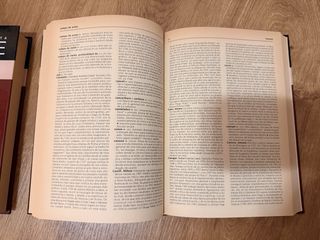 Diccionarios de Arte I y II Larousse