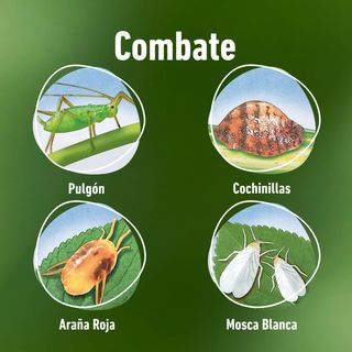 COMPO Bio Insecticida Stop, Insecticida para hortí