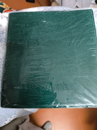 Álbum para billetes verde con 20 hojas