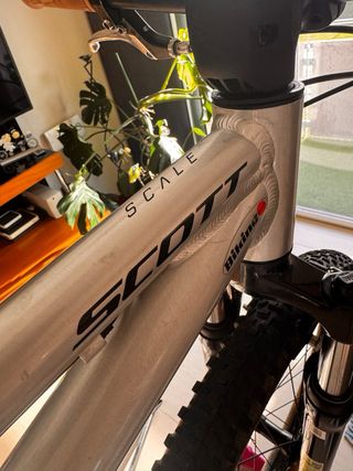 Bicicleta Scott Scale 20