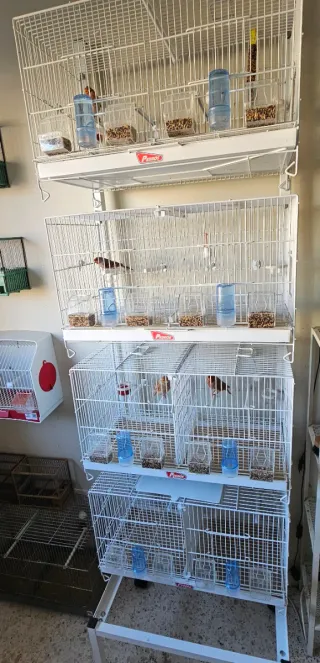 JAULA DE CRIA 60CM + CARRO