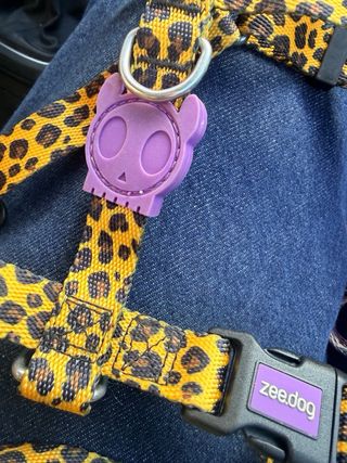 Pettorina Zee.dog H leopardata