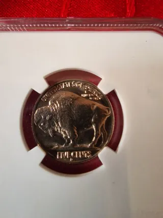 Stati Uniti Buffalo Nichel 5C 1938 D