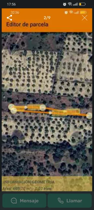 Se venden 2 parcelas con 22 Olivos en Salvatierra