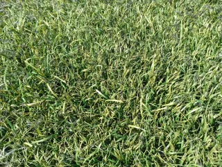 Césped artificial reciclado