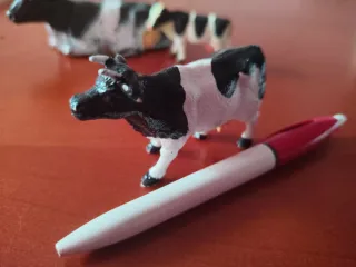 3 Mucche da Collezione