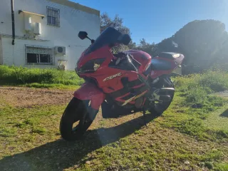 Honda CBR 600F s Rossi