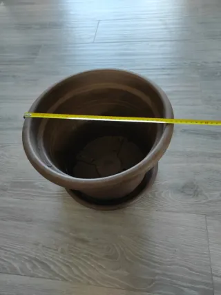 Maceta grande con plato