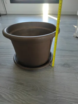 Maceta grande con plato