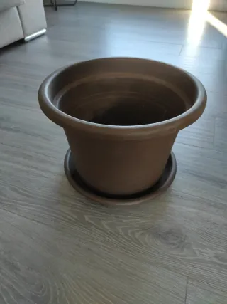 Maceta grande con plato