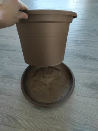 Maceta grande con plato