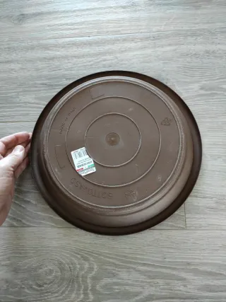 Maceta grande con plato