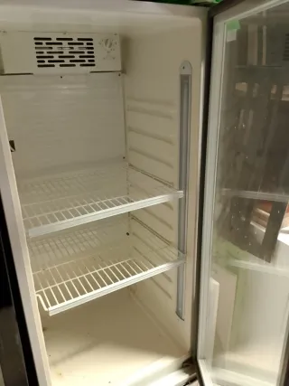 Nevera expositora FrigeluX CF 276ST